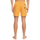 Quiksilver Ανδρικό μαγιό Surfwash 15" - Swim Shorts for Men